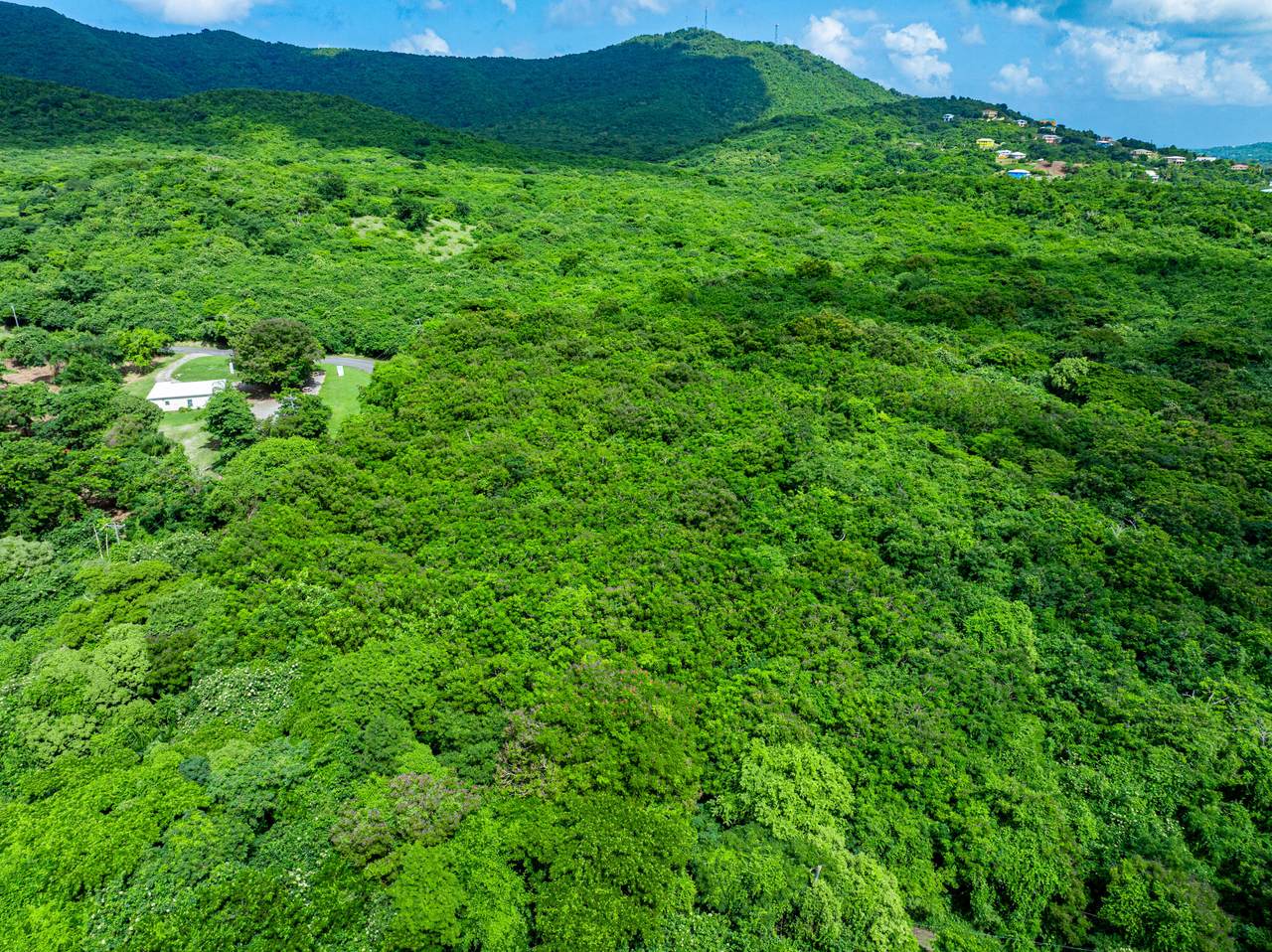 1-D River Pr - Photo 1