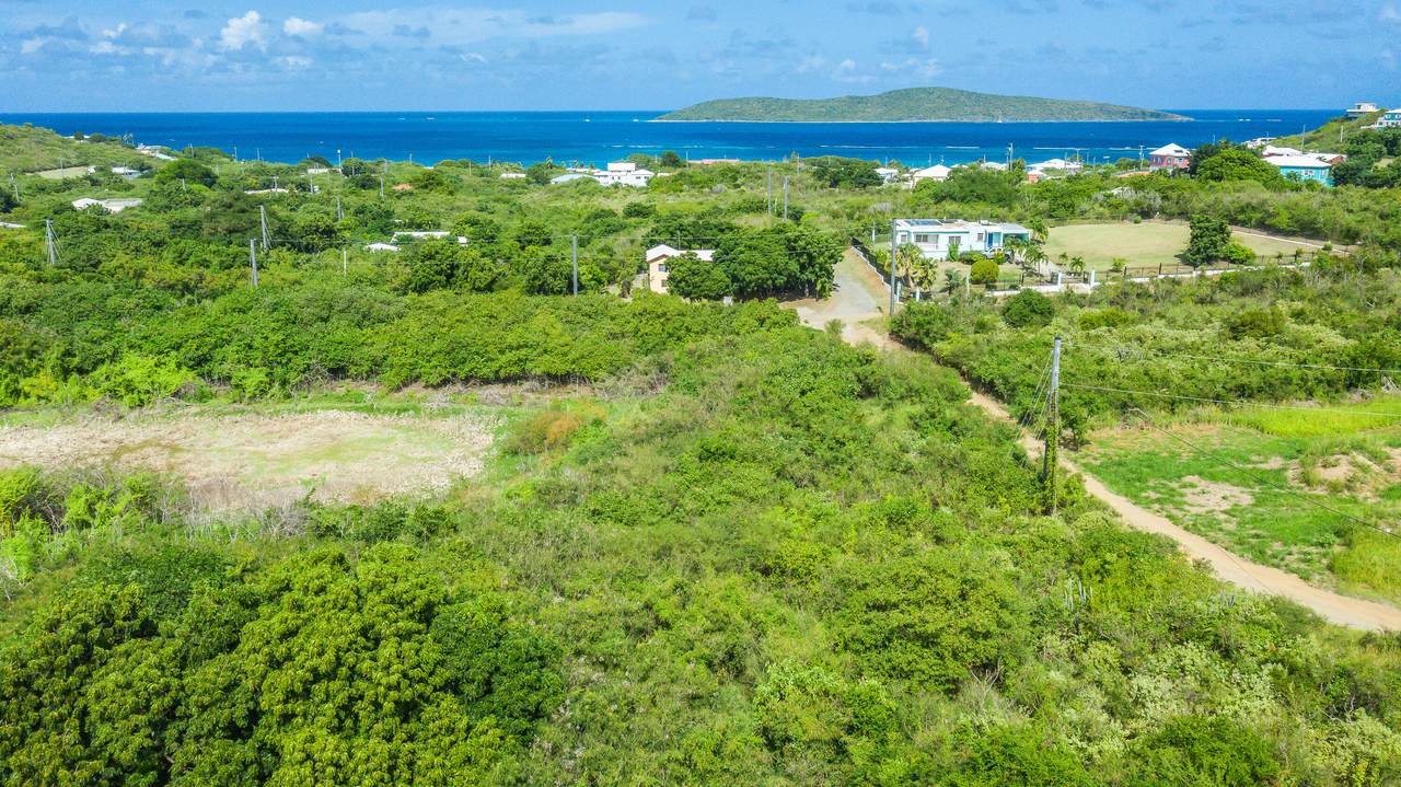 344 Cotton Valley Eb - Photo 1