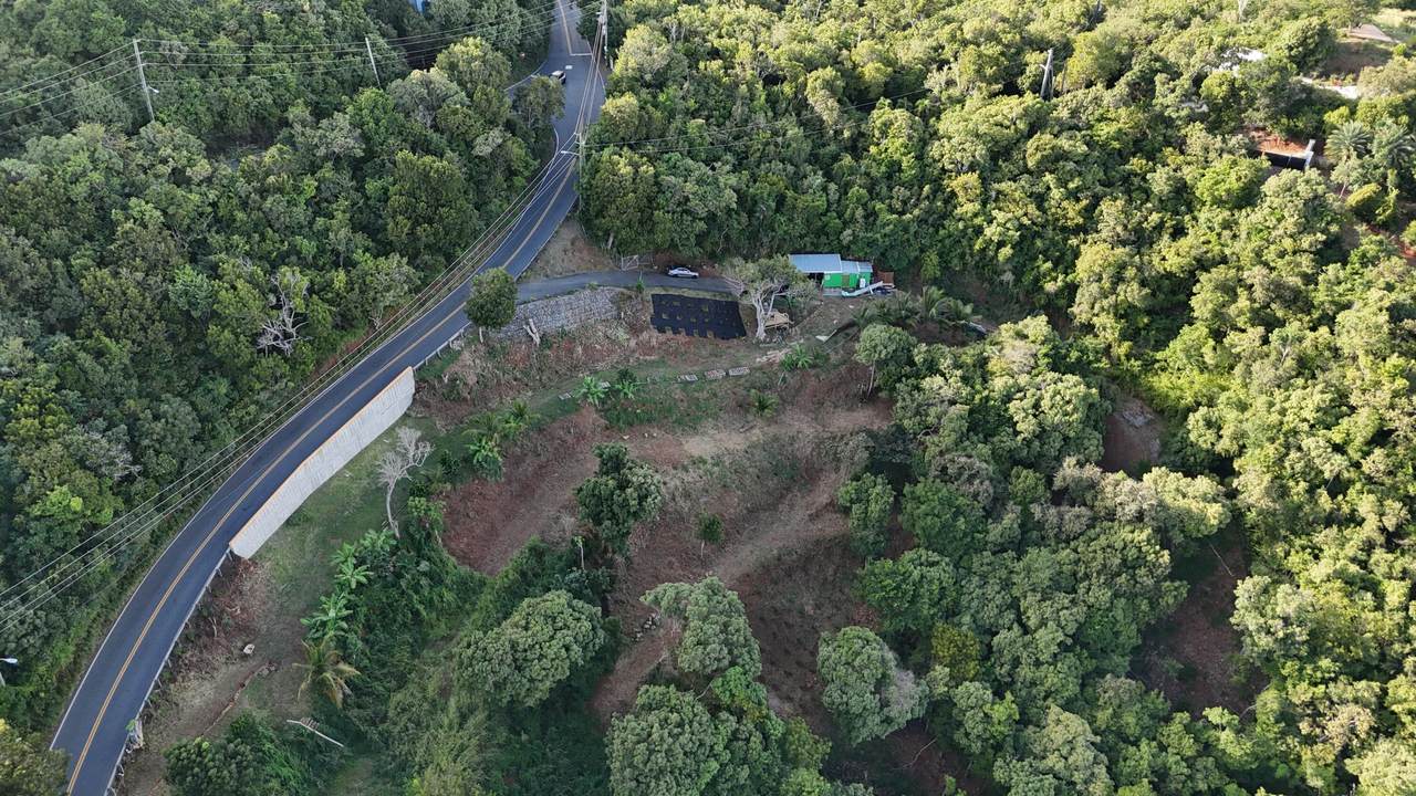 5-C Misgunst Gns - Photo 1