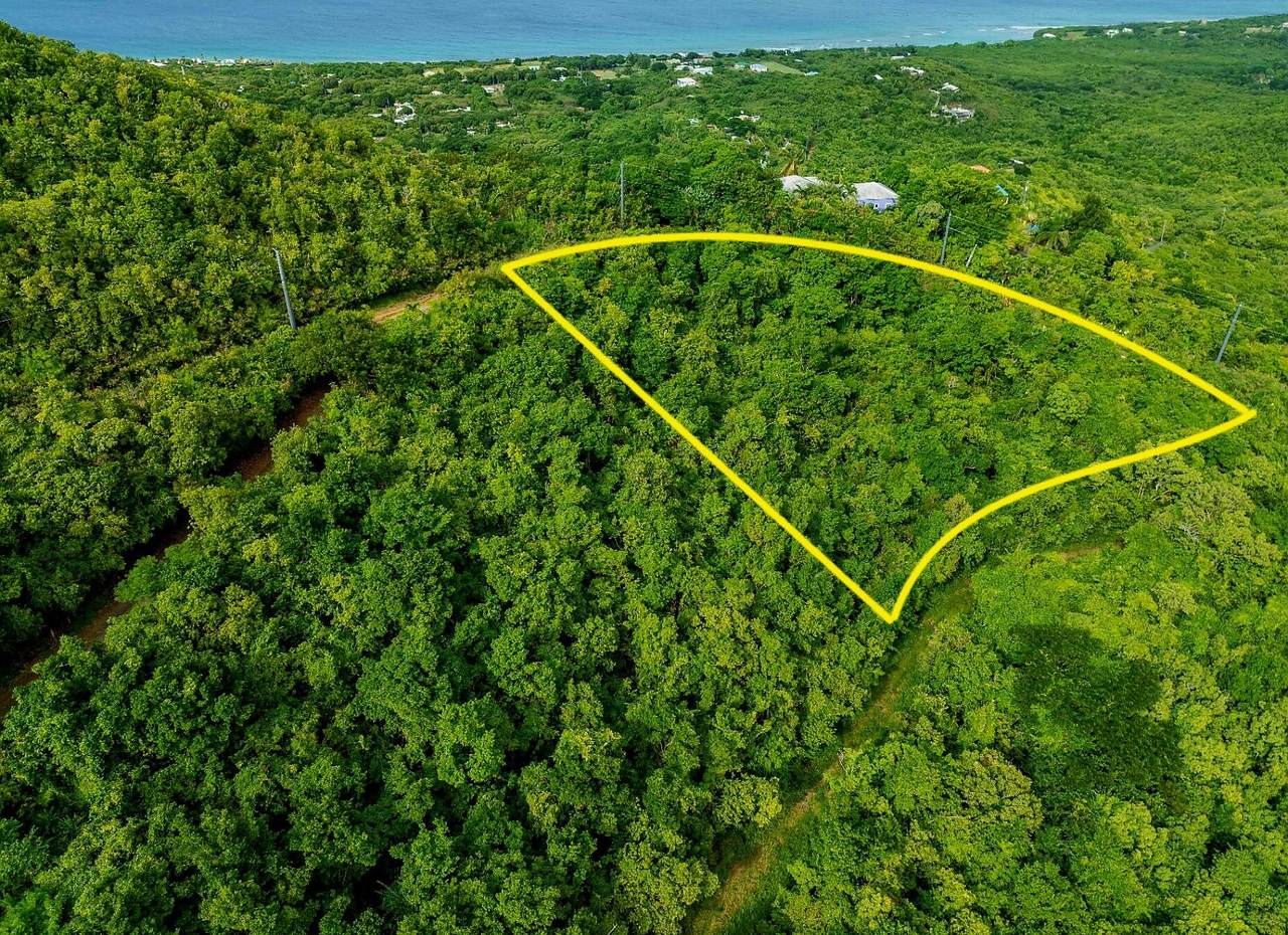150 Belvedere Nb - Photo 1