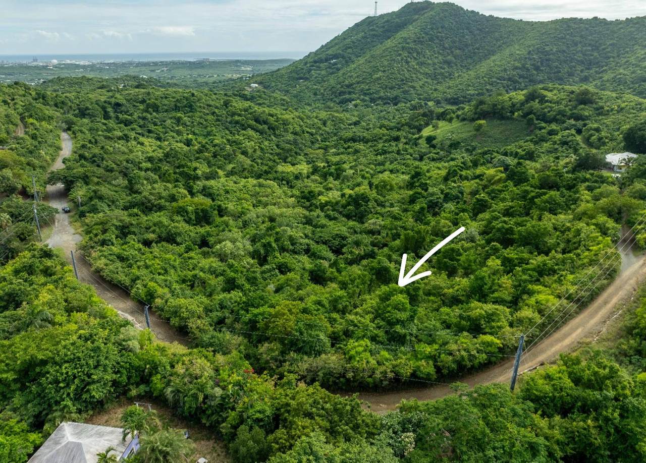 https://bt-photos.global.ssl.fastly.net/stthomas/1280_boomver_1_25-2369-2.jpg