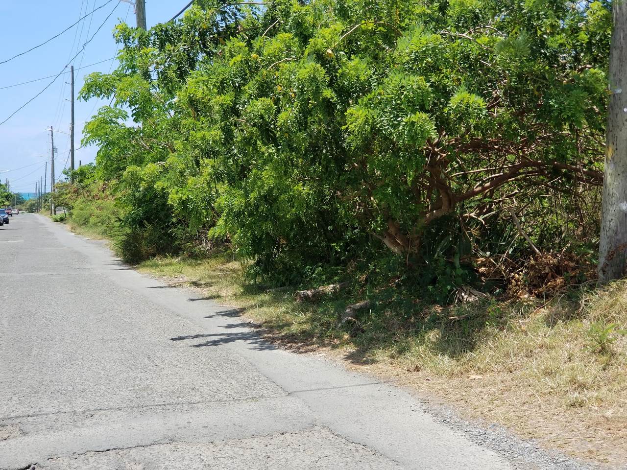 6-A Hannah's Rest We - Photo 1