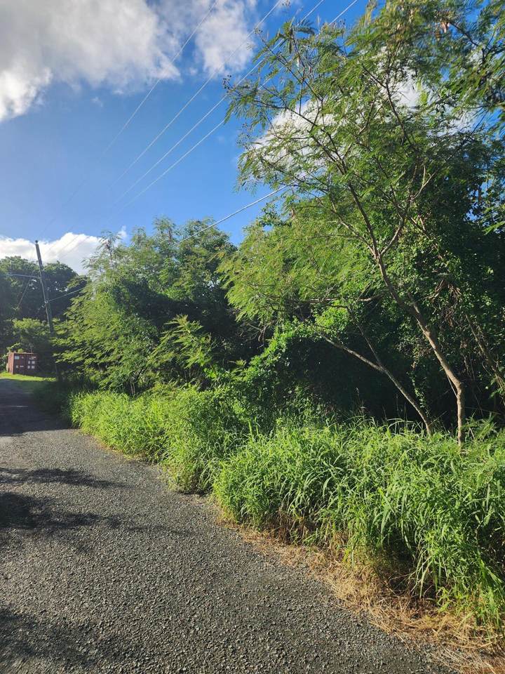 85 Mt. Pleasant Ea - Photo 1