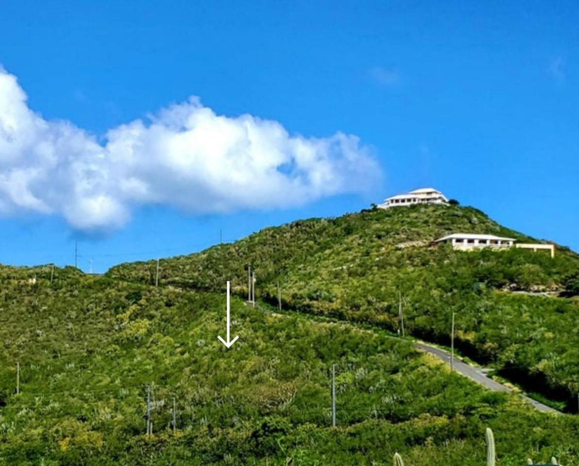https://bt-photos.global.ssl.fastly.net/stthomas/1280_boomver_1_25-375-2.jpg