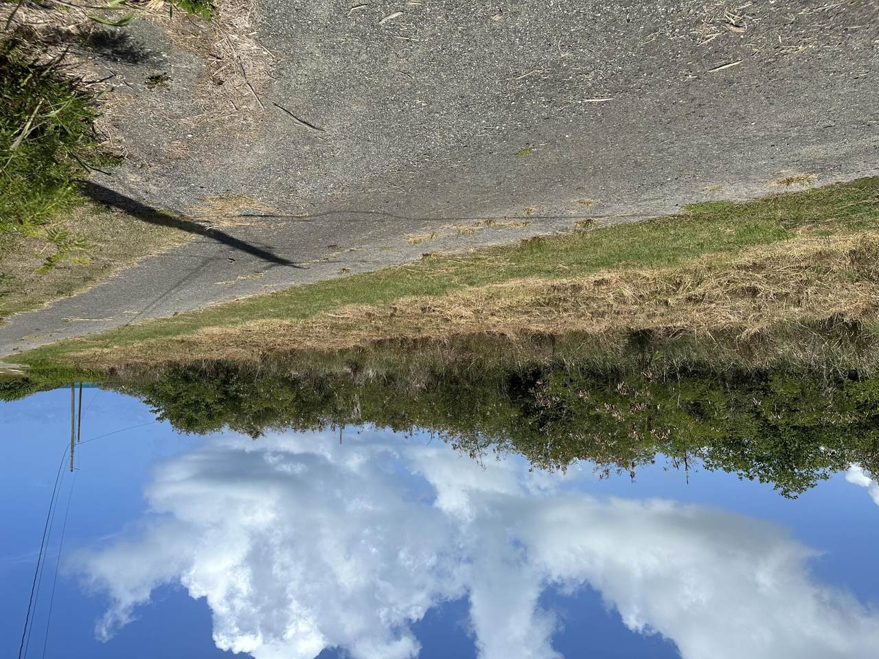 95 Enfield Green Pr - Photo 1