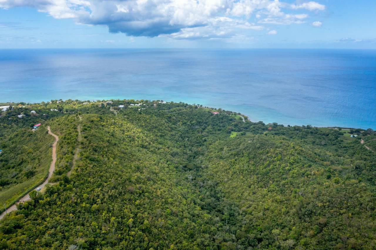 https://bt-photos.global.ssl.fastly.net/stthomas/1280_boomver_1_25-574-2.jpg