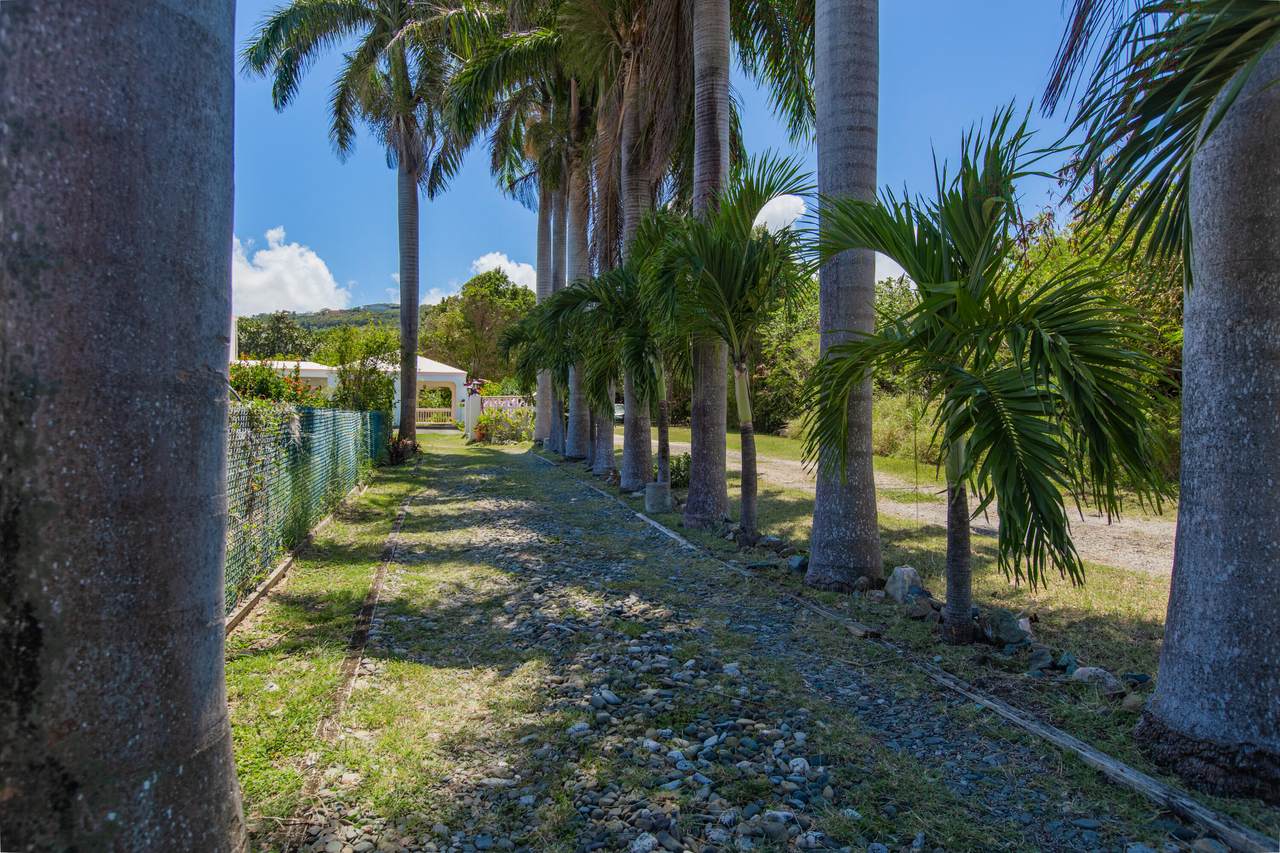 https://bt-photos.global.ssl.fastly.net/stthomas/1280_boomver_1_25-667-2.jpg