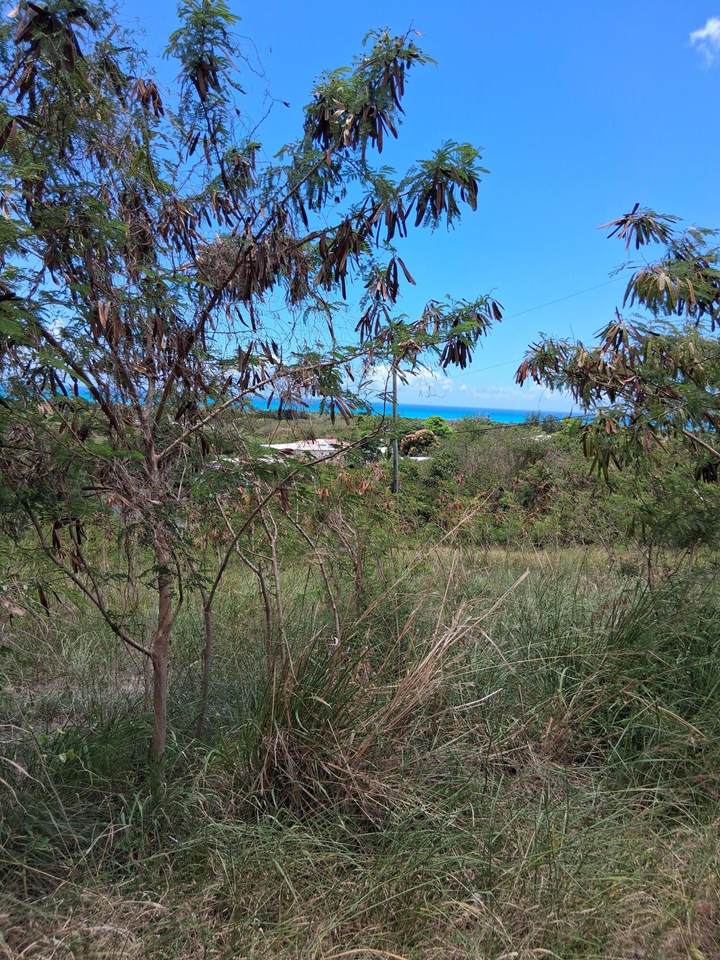 19 I Whim Whim (Two Will) We - Photo 1