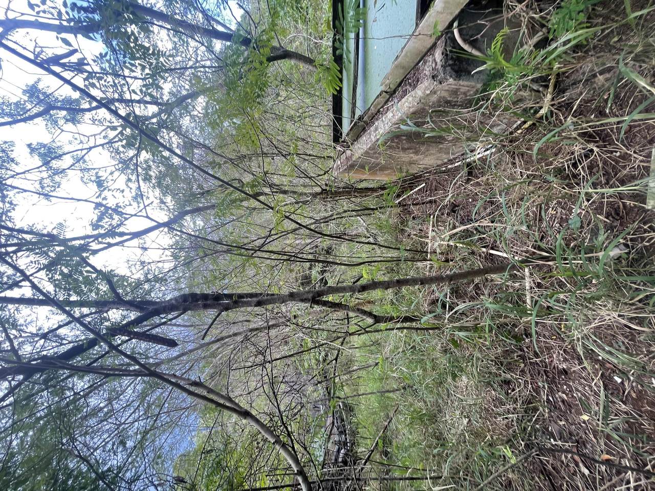 https://bt-photos.global.ssl.fastly.net/stthomas/1280_boomver_1_25-849-2.jpg