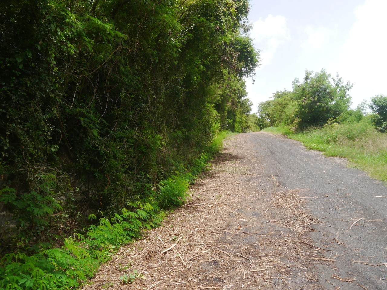 4E-4 Rattan Qu - Photo 1