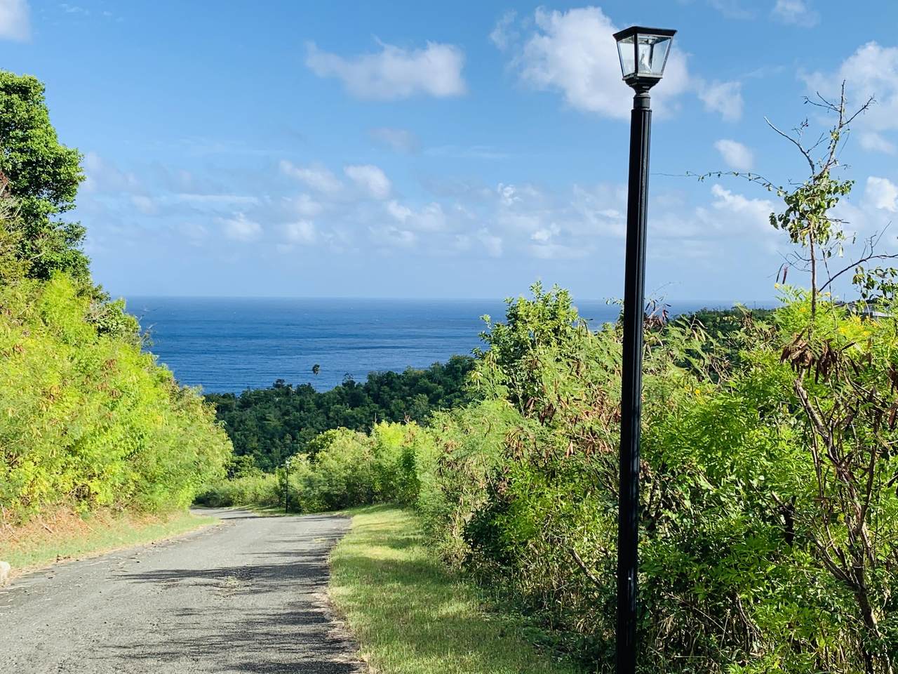 44 Prosperity Nb - Photo 1