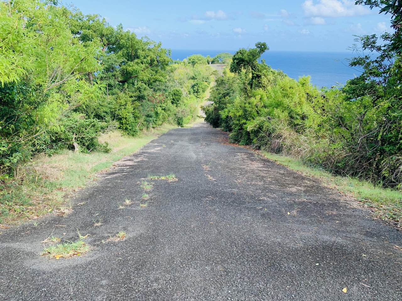 https://bt-photos.global.ssl.fastly.net/stthomas/1280_boomver_1_25-870-2.jpg