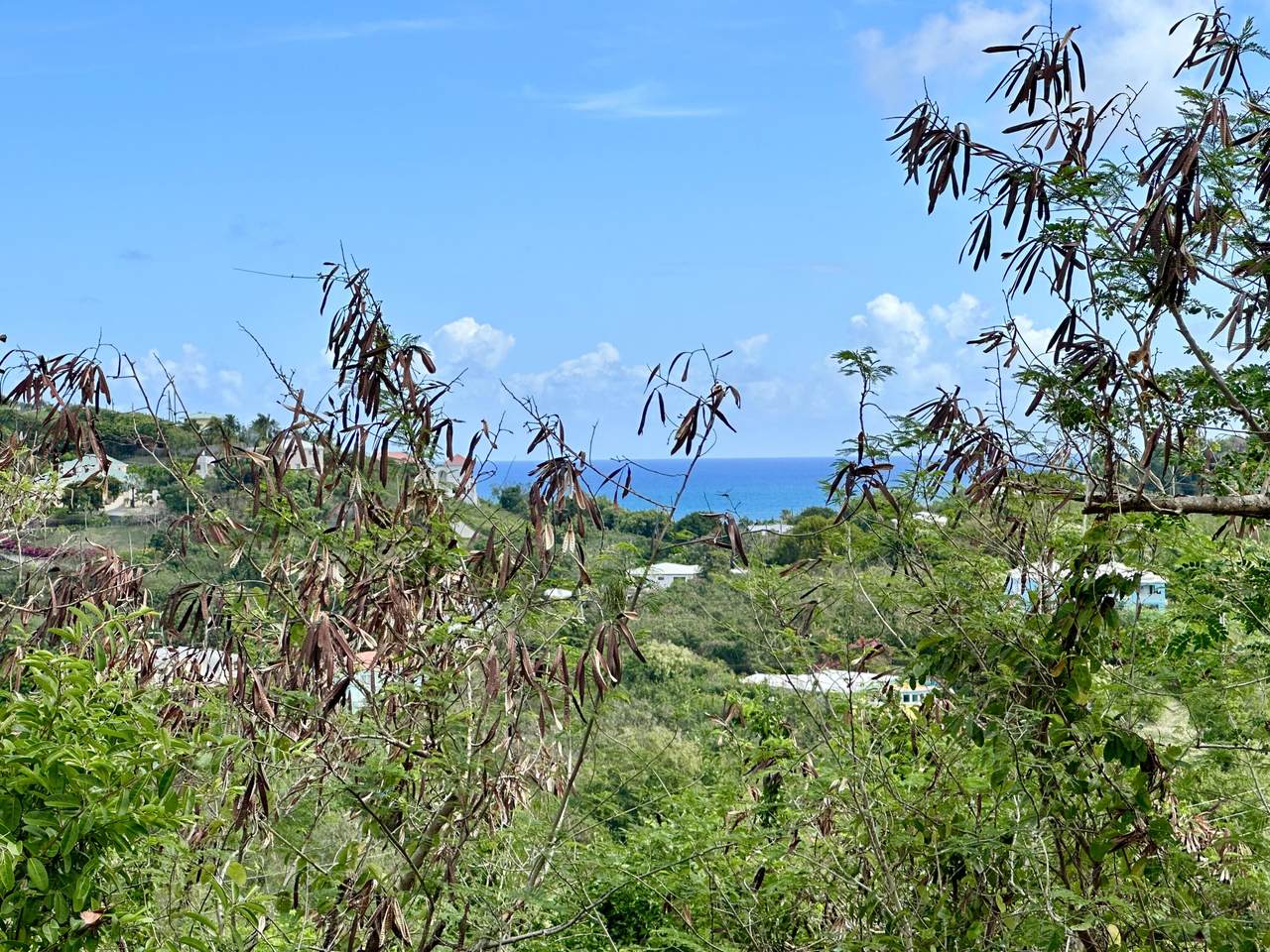 62 REM Boetzberg Ea - Photo 1