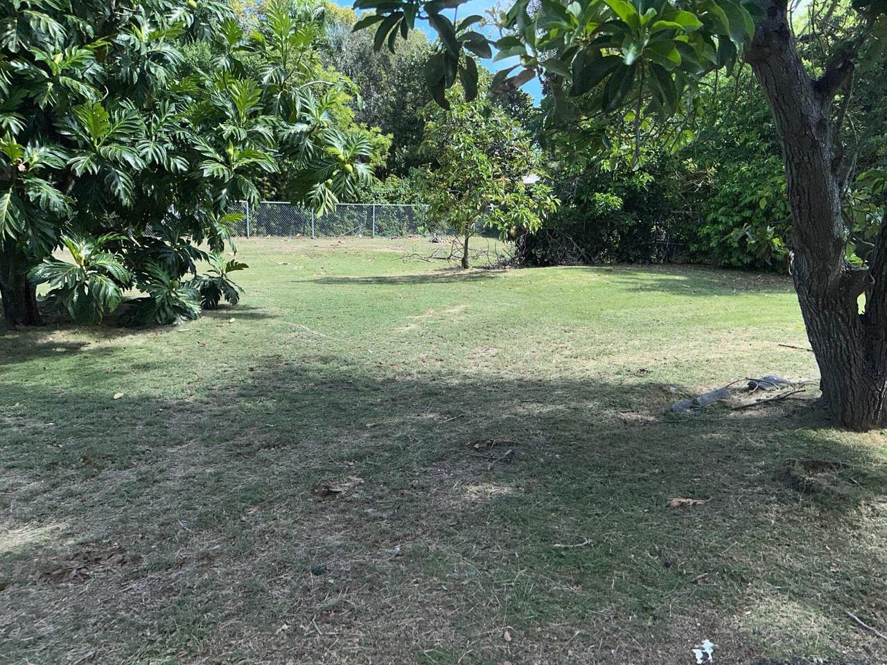 https://bt-photos.global.ssl.fastly.net/stthomas/orig_boomver_1_25-881-2.jpg