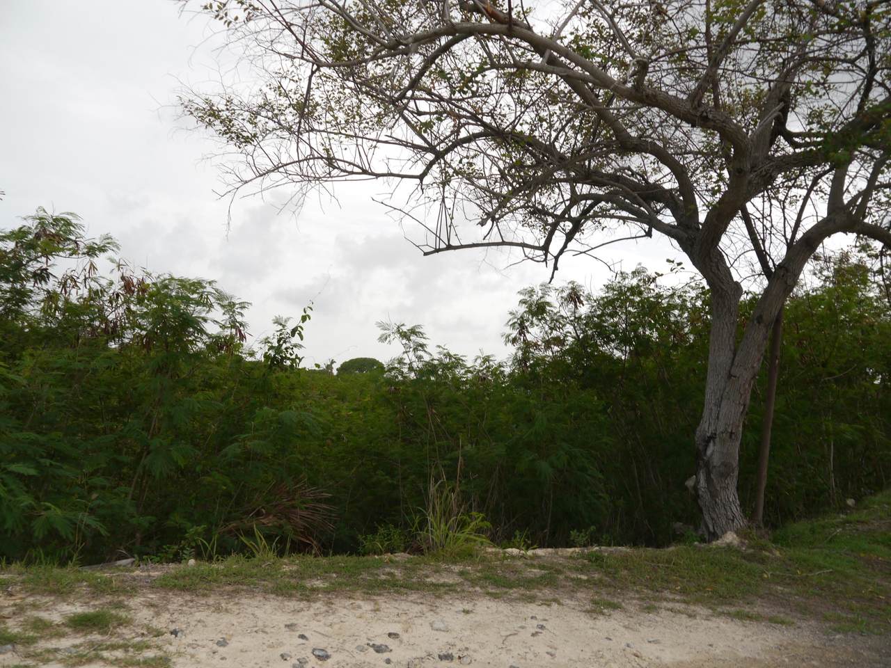 53 Sion Farm Qu - Photo 1