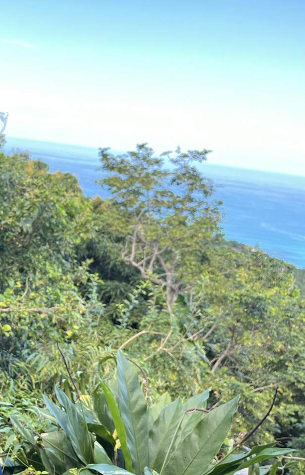 https://bt-photos.global.ssl.fastly.net/stthomas/1280_boomver_1_25-963-2.jpg