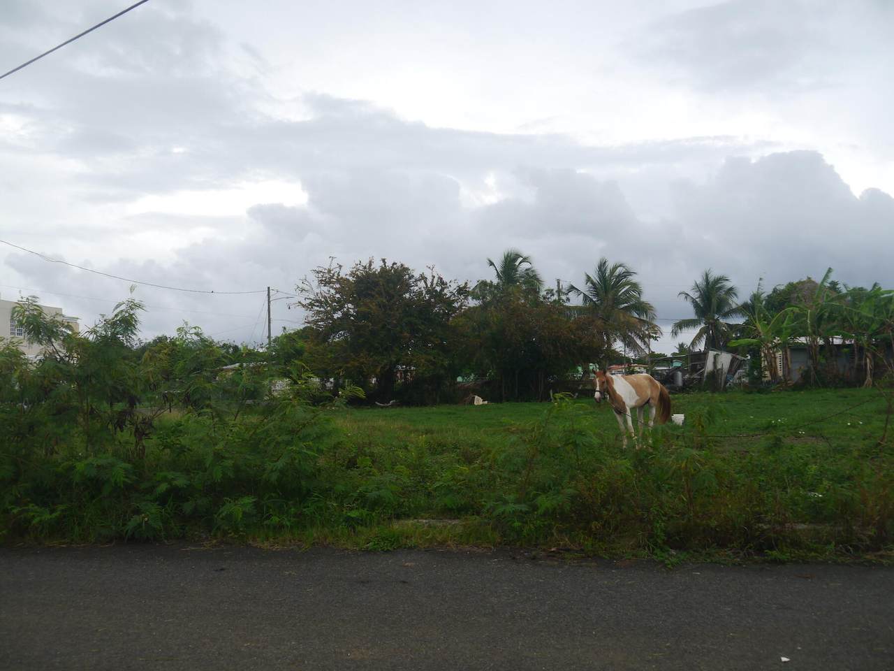 1004 William's De Pr - Photo 1