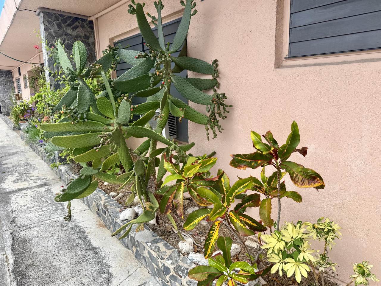 https://bt-photos.global.ssl.fastly.net/stthomas/1280_boomver_1_26-1007-2.jpg