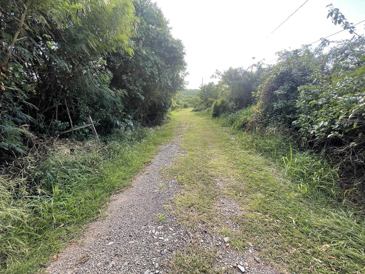 https://bt-photos.global.ssl.fastly.net/stthomas/1280_boomver_1_26-1188-2.jpg