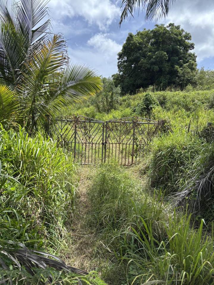 https://bt-photos.global.ssl.fastly.net/stthomas/orig_boomver_1_26-1196-2.jpg