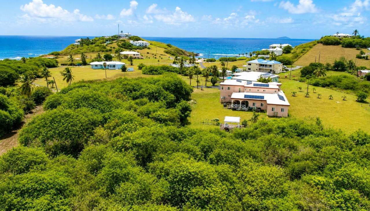https://bt-photos.global.ssl.fastly.net/stthomas/1280_boomver_1_26-1205-2.jpg