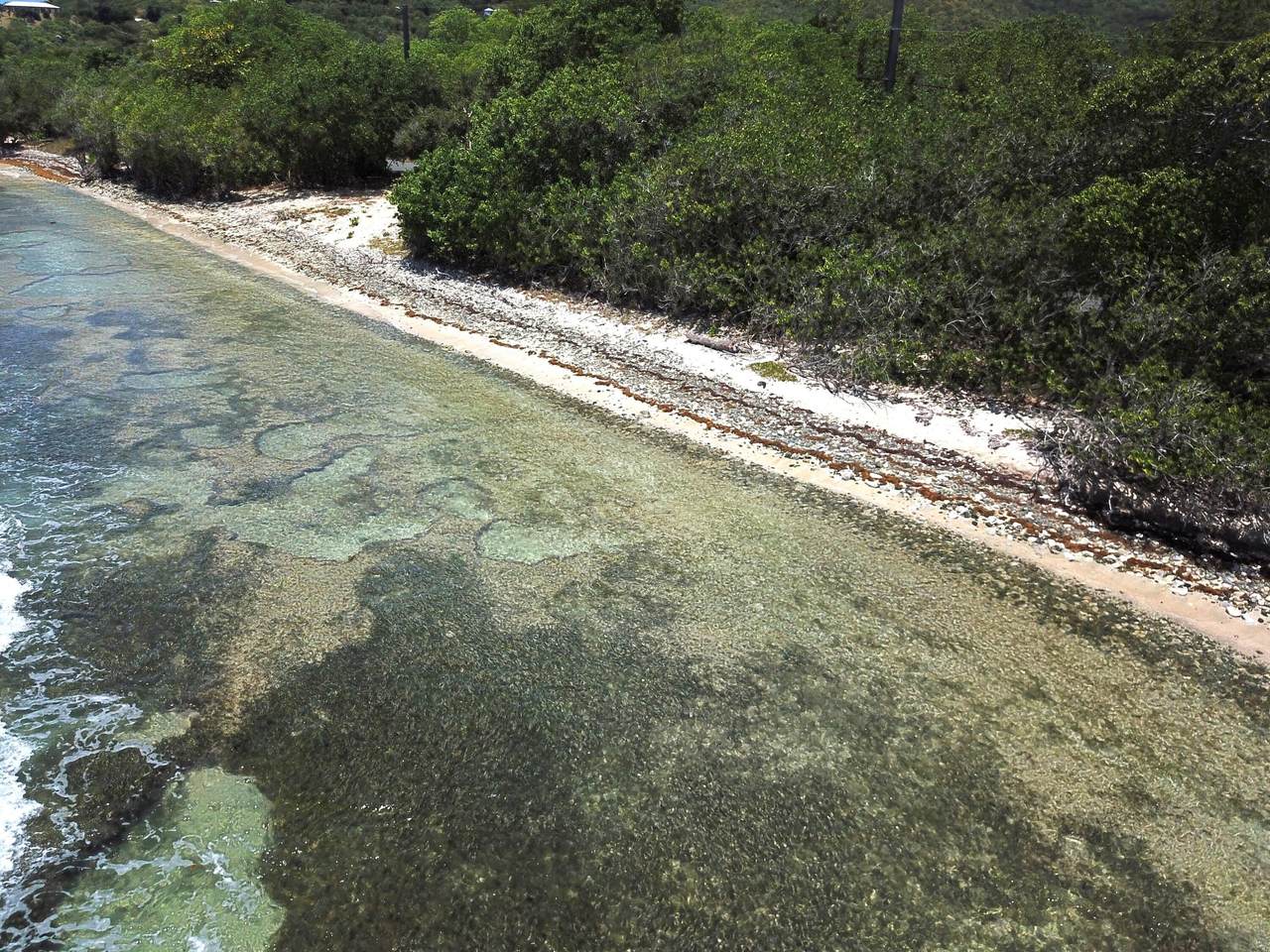https://bt-photos.global.ssl.fastly.net/stthomas/1280_boomver_1_26-1227-2.jpg