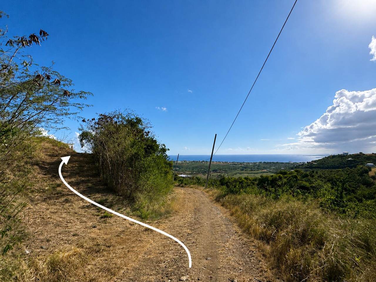https://bt-photos.global.ssl.fastly.net/stthomas/1280_boomver_1_26-1254-2.jpg