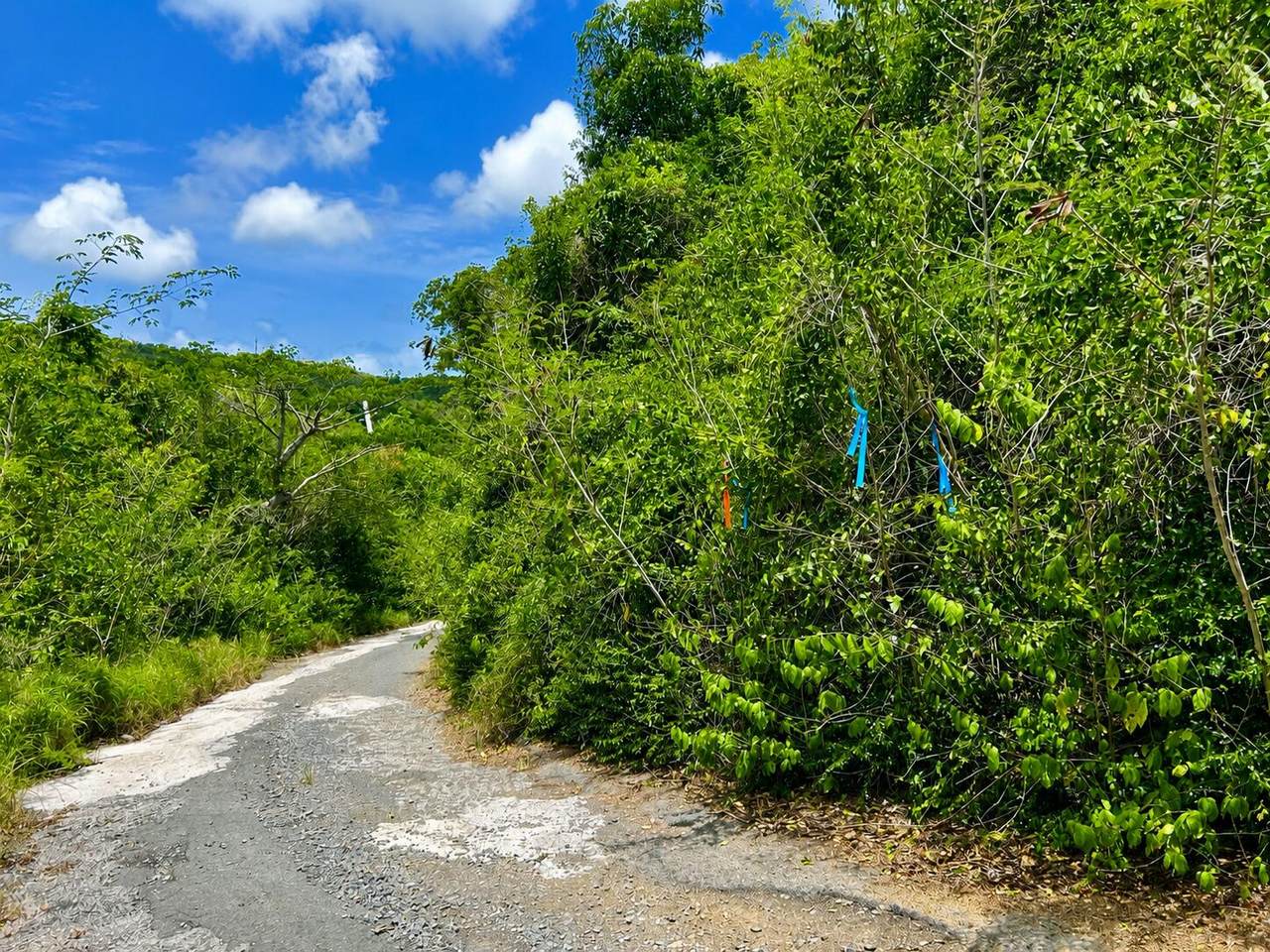 https://bt-photos.global.ssl.fastly.net/stthomas/1280_boomver_1_26-1287-2.jpg