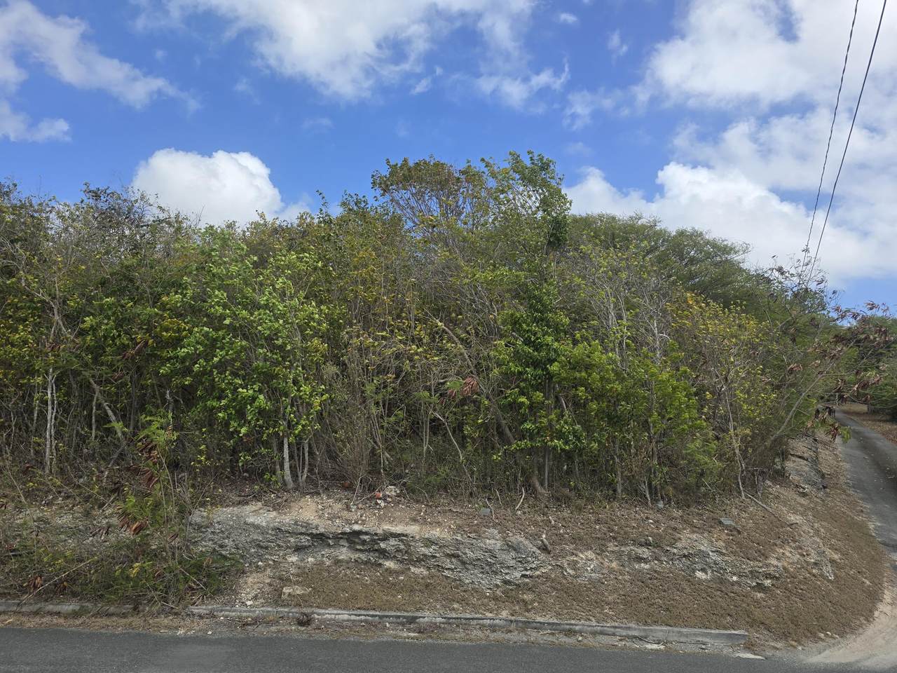 https://bt-photos.global.ssl.fastly.net/stthomas/1280_boomver_1_26-1288-2.jpg