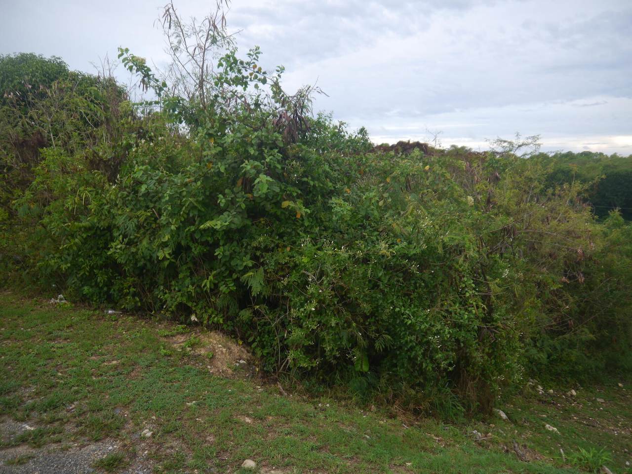 53 Sion Farm Qu - Photo 1