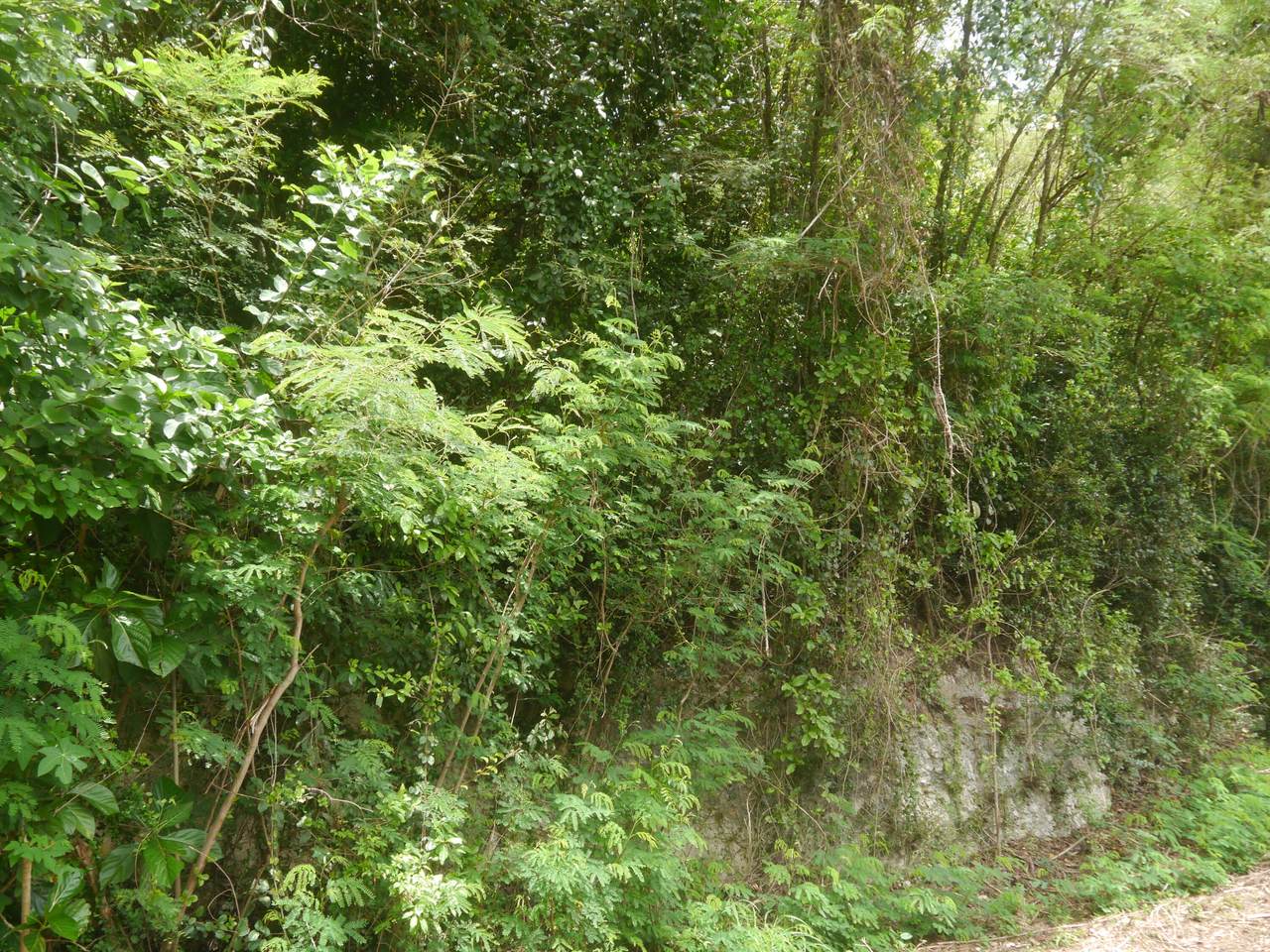 https://bt-photos.global.ssl.fastly.net/stthomas/1280_boomver_1_26-1307-2.jpg