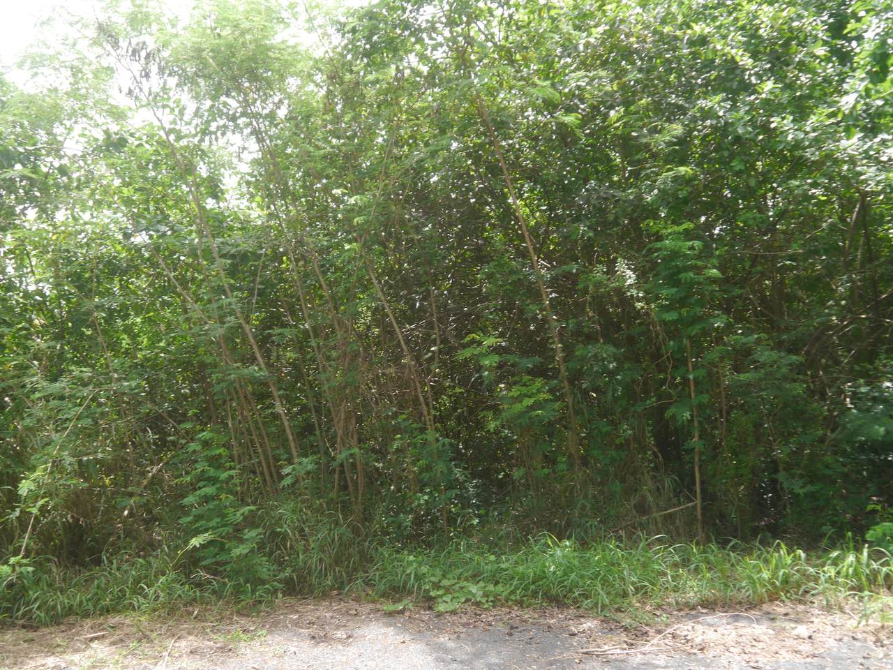 https://bt-photos.global.ssl.fastly.net/stthomas/1280_boomver_1_26-1307-2.jpg
