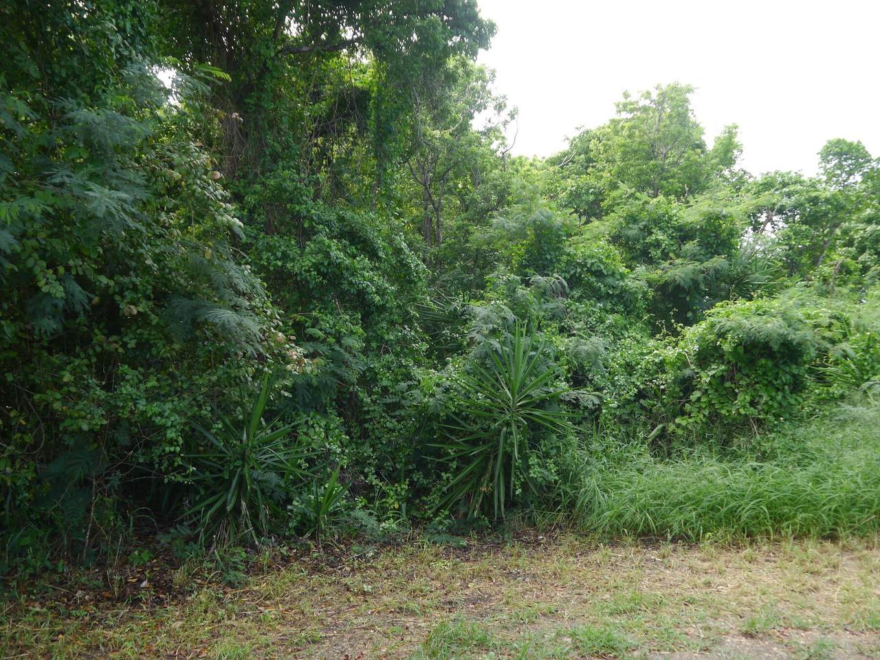 https://bt-photos.global.ssl.fastly.net/stthomas/1280_boomver_1_26-1308-2.jpg