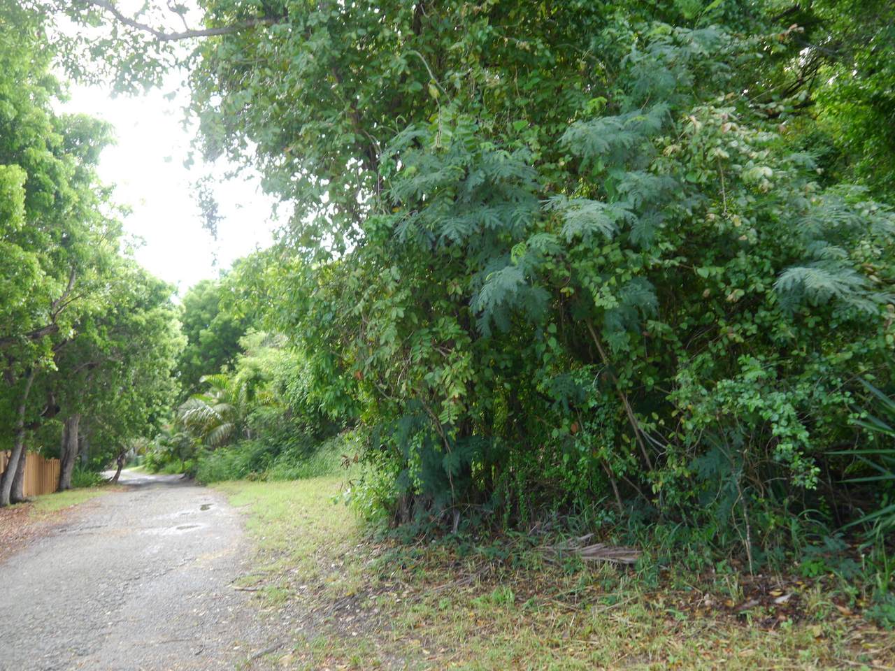 https://bt-photos.global.ssl.fastly.net/stthomas/1280_boomver_1_26-1308-2.jpg