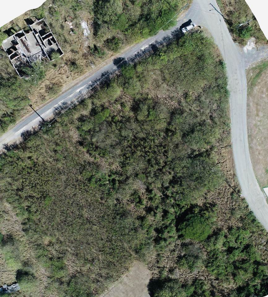 288 Enfield Green Pr - Photo 1