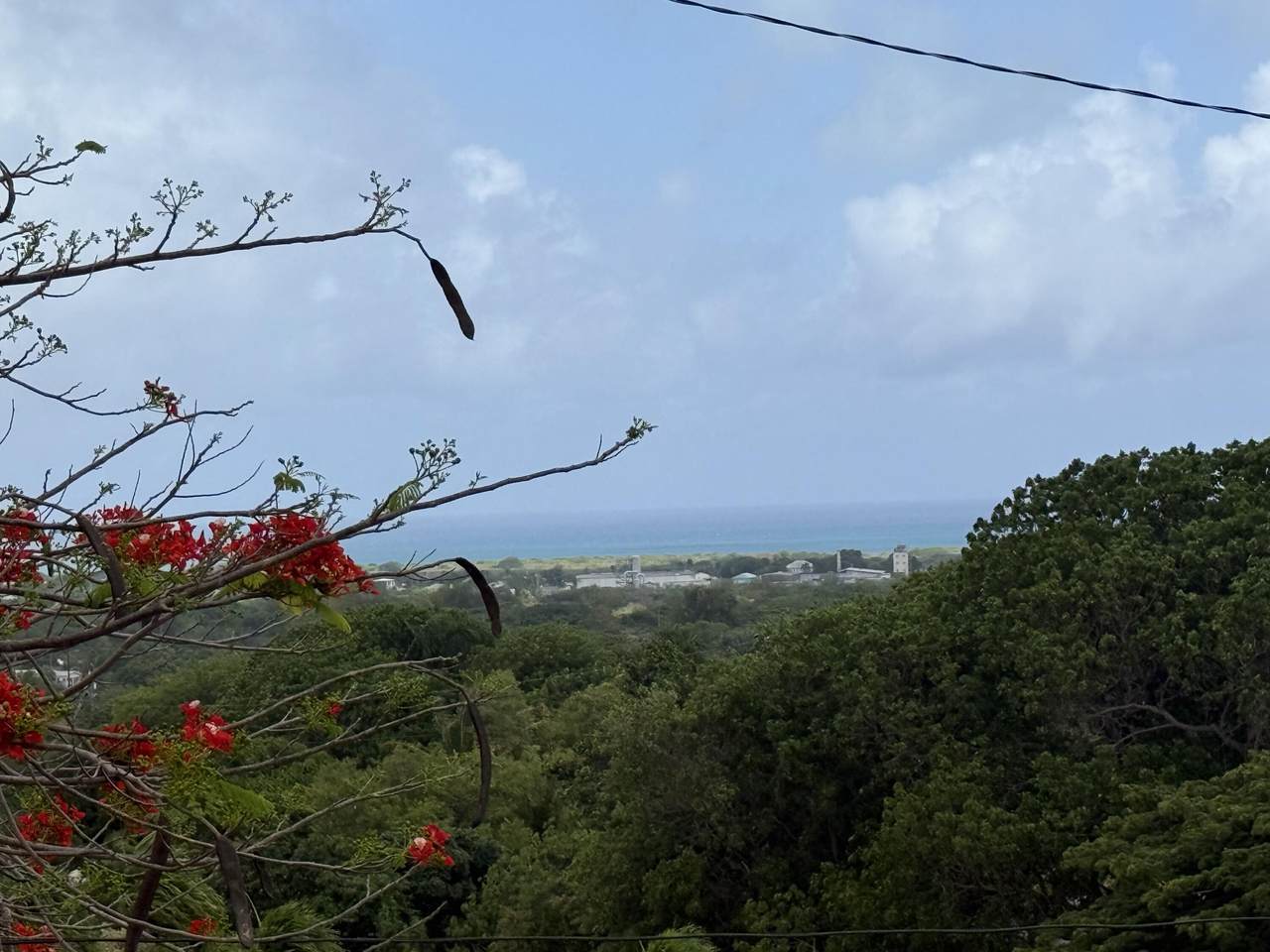 9 St. George Pr - Photo 1