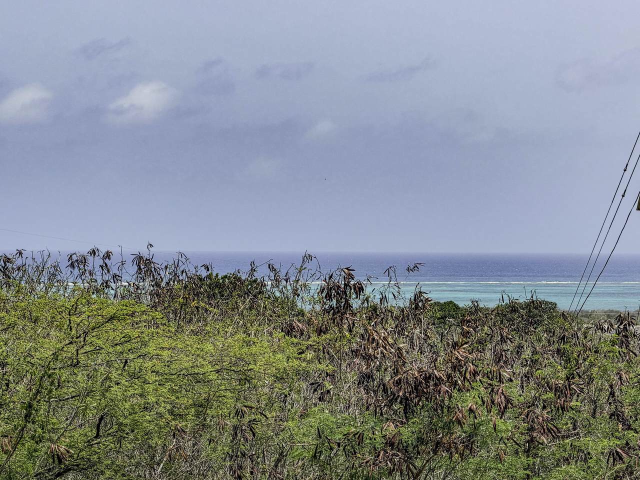 https://bt-photos.global.ssl.fastly.net/stthomas/orig_boomver_1_26-1389-2.jpg
