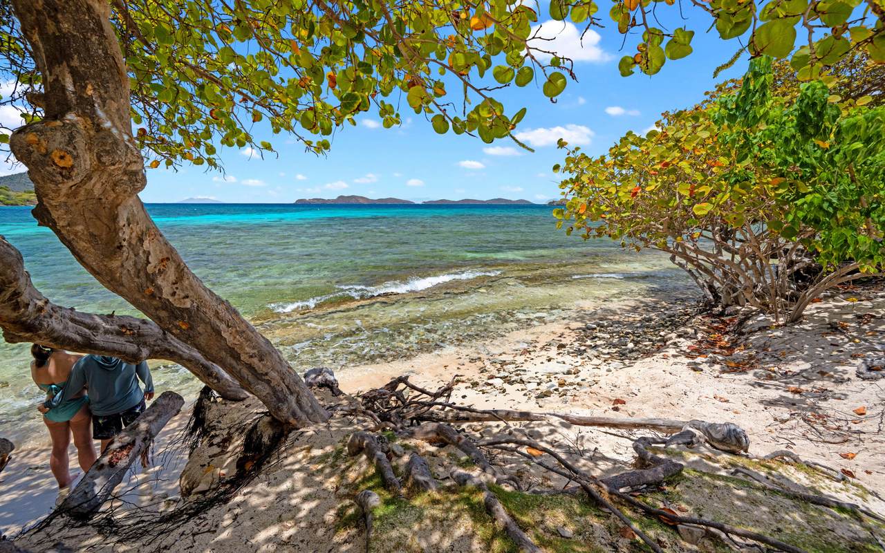 https://bt-photos.global.ssl.fastly.net/stthomas/1280_boomver_1_26-1431-2.jpg