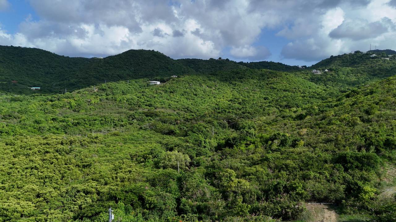 https://bt-photos.global.ssl.fastly.net/stthomas/orig_boomver_1_26-1435-2.jpg