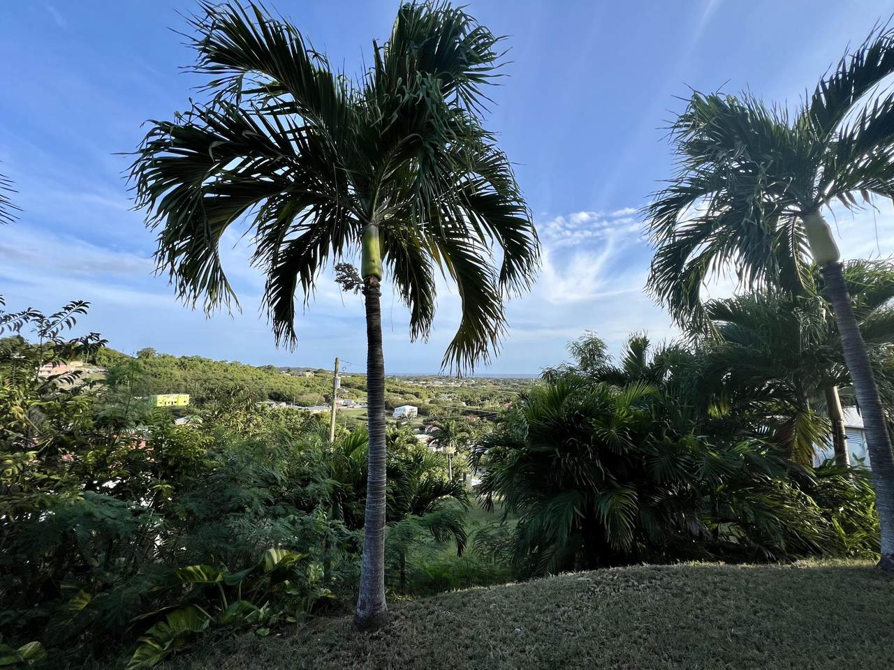 https://bt-photos.global.ssl.fastly.net/stthomas/1280_boomver_1_26-1449-2.jpg