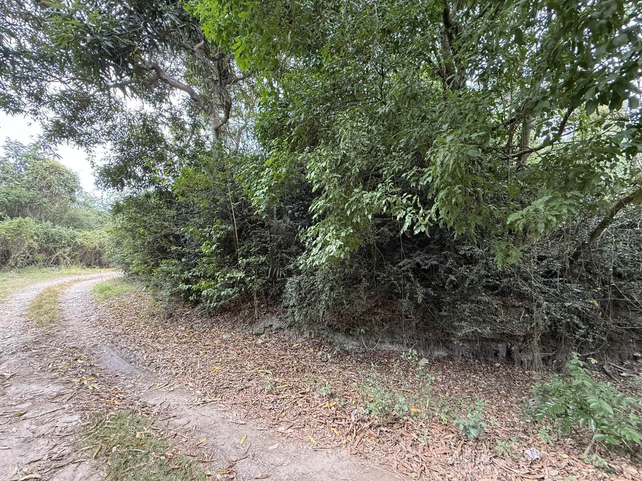 https://bt-photos.global.ssl.fastly.net/stthomas/1280_boomver_1_26-1461-2.jpg