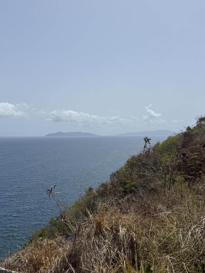 https://bt-photos.global.ssl.fastly.net/stthomas/1280_boomver_1_26-1469-2.jpg