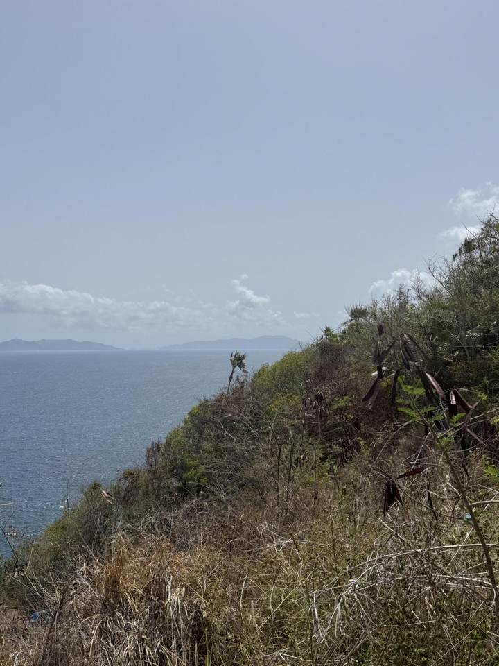 https://bt-photos.global.ssl.fastly.net/stthomas/1280_boomver_1_26-1469-2.jpg