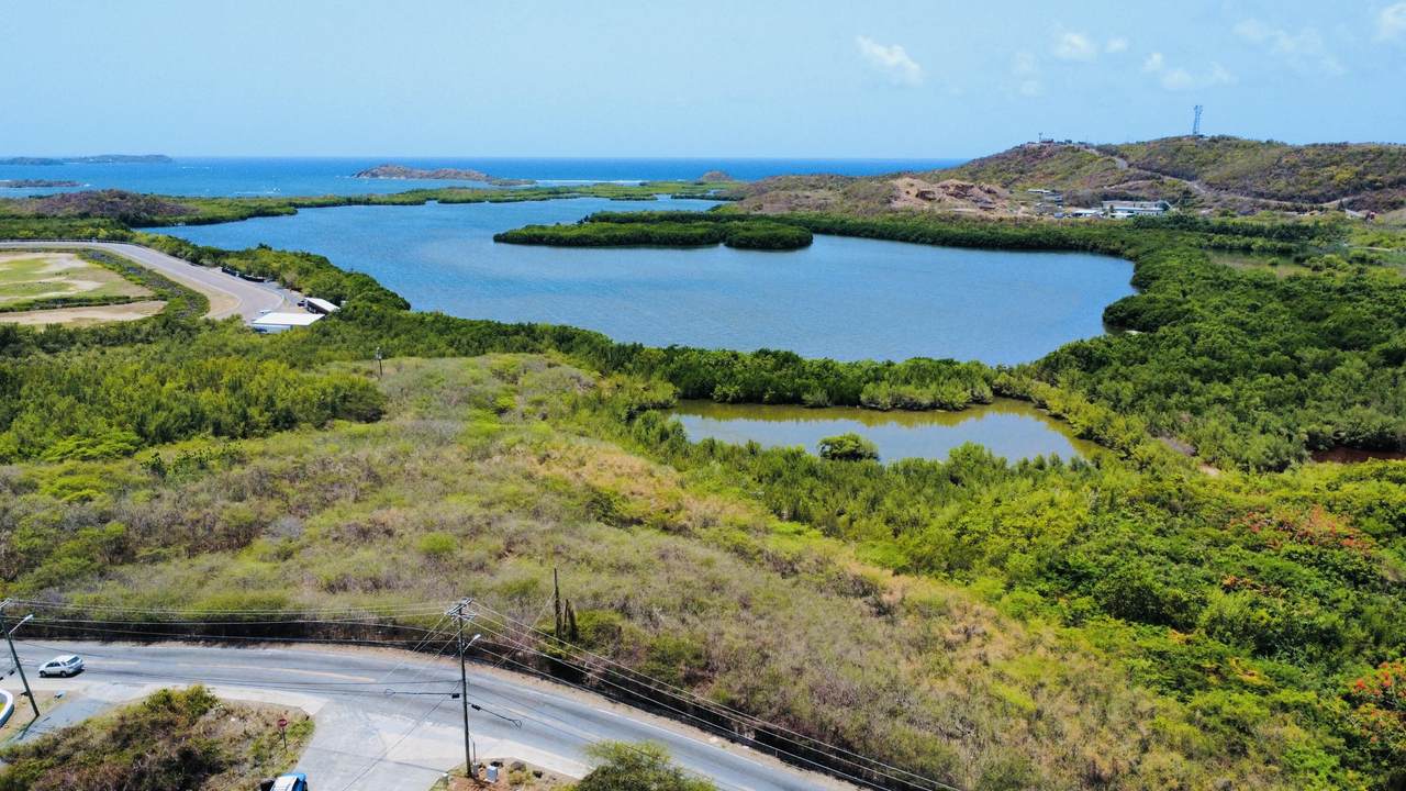 https://bt-photos.global.ssl.fastly.net/stthomas/1280_boomver_1_26-1504-2.jpg