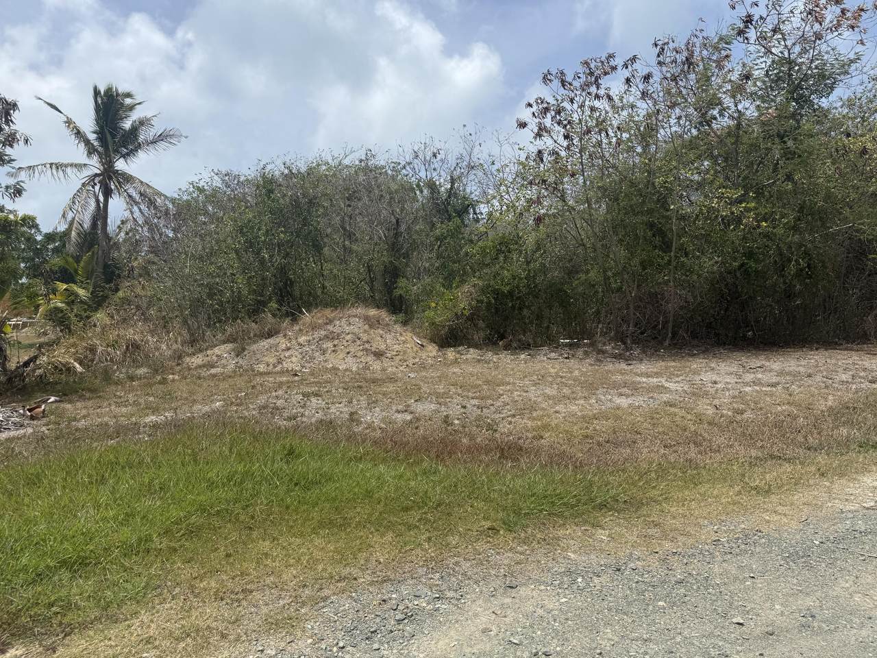 https://bt-photos.global.ssl.fastly.net/stthomas/1280_boomver_1_26-1515-2.jpg