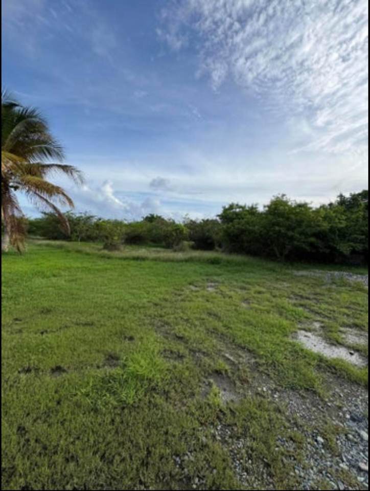 284 Enfield Green Pr - Photo 1
