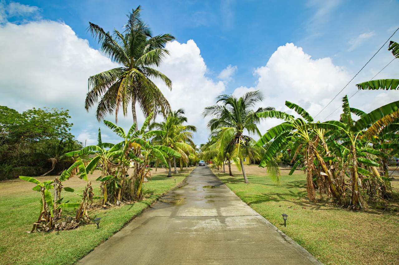 https://bt-photos.global.ssl.fastly.net/stthomas/1280_boomver_1_26-1613-2.jpg