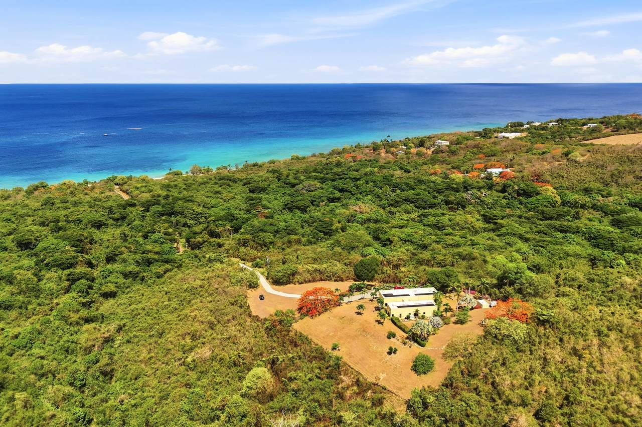 https://bt-photos.global.ssl.fastly.net/stthomas/1280_boomver_1_26-1655-2.jpg