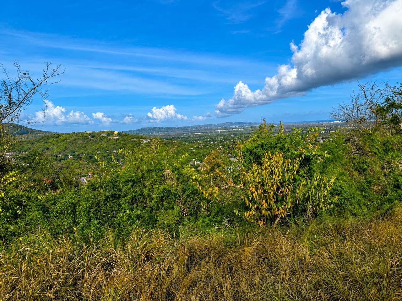 34 St. George Pr - Photo 1
