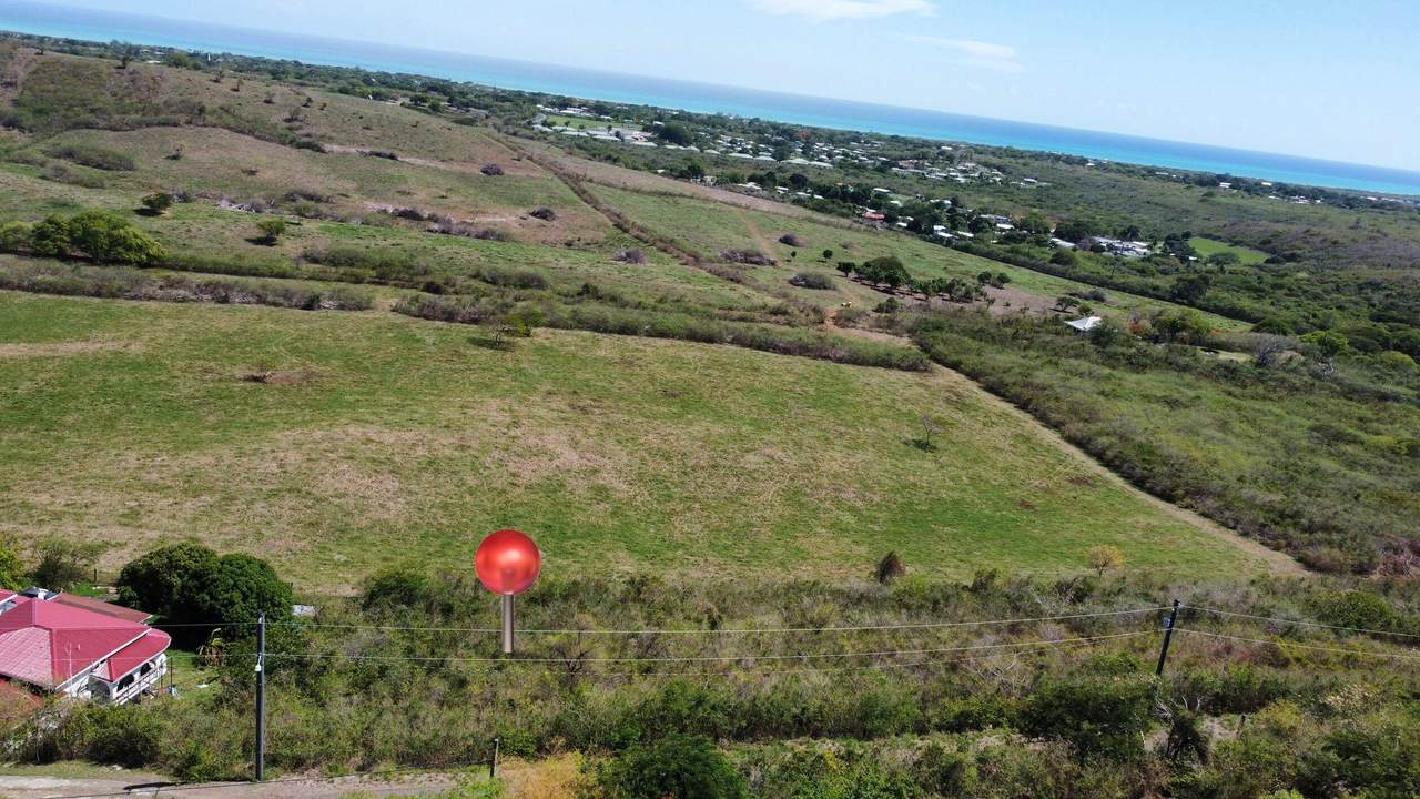 https://bt-photos.global.ssl.fastly.net/stthomas/1280_boomver_1_26-1701-2.jpg